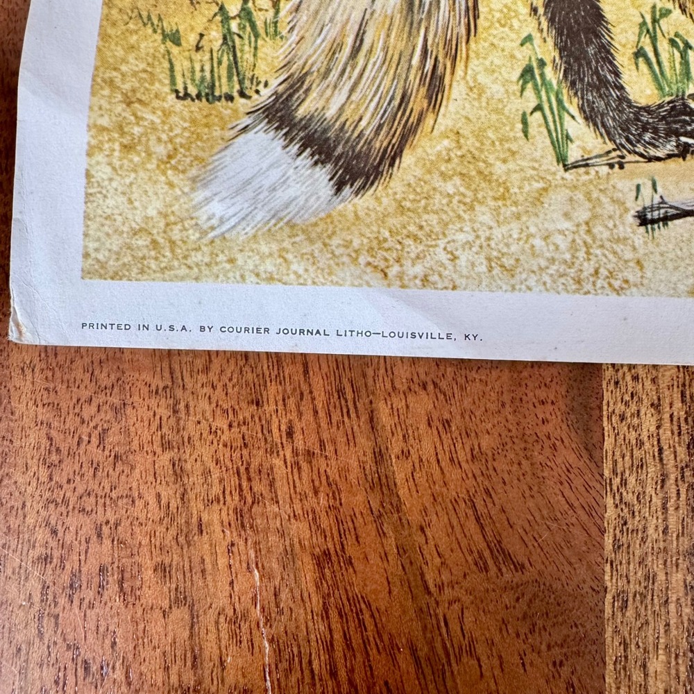 Vintage 1969 Gene Gray The American Red Fox Signed Lithograph Print 18x22 - Picture 4 of 9